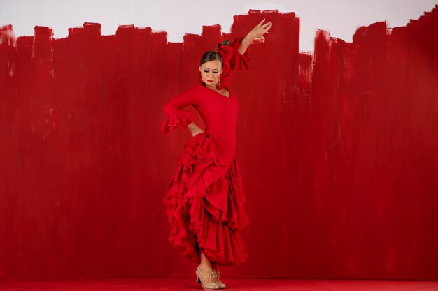 Passionate and elgant flamenco dancer