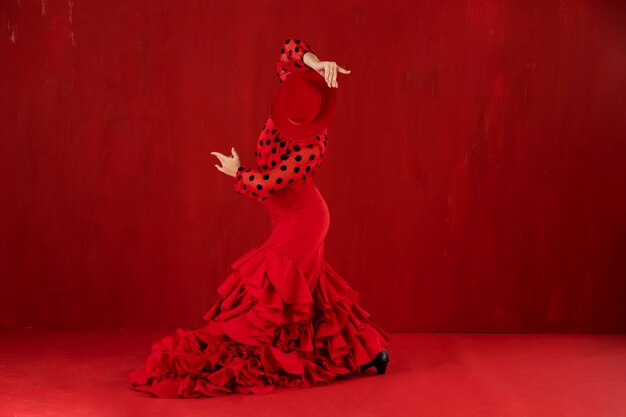 Passionate and elgant flamenco dancer