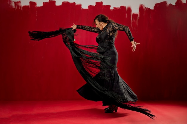 Passionate and elgant flamenco dancer