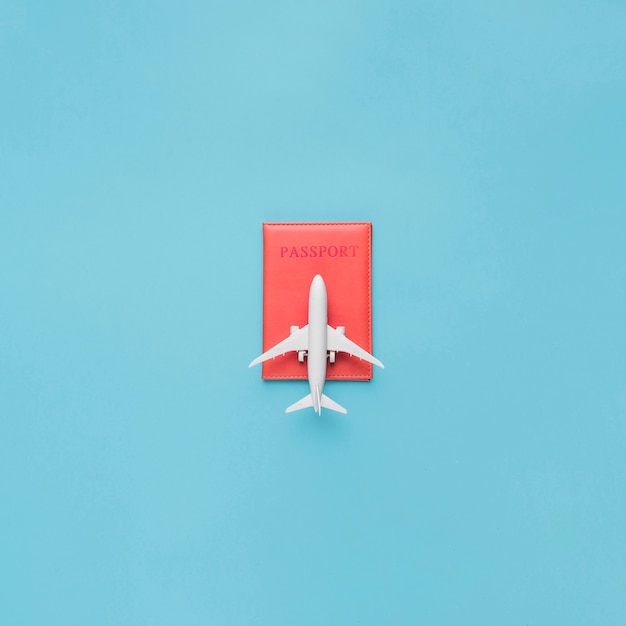 Паспорт в красном футляре и игрушечном самолете