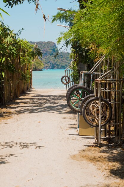 Path goes to beautiful idyllic beach