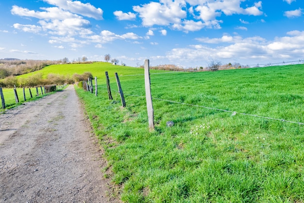 Path through a vast green valley during a sunny day