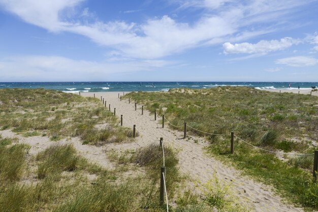 Free photo pathway on a seashore with a beautiful view of an ocean under a blue sky