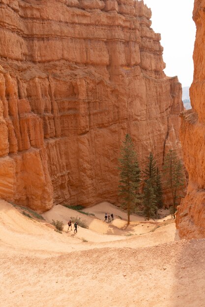 Pathway surrounded by rock formations in the Bryce Canyon National Park, the US