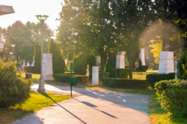 Pathways in park in summertime