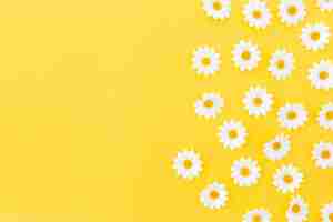 Free photo pattern of daysies on yellow background with space to the left