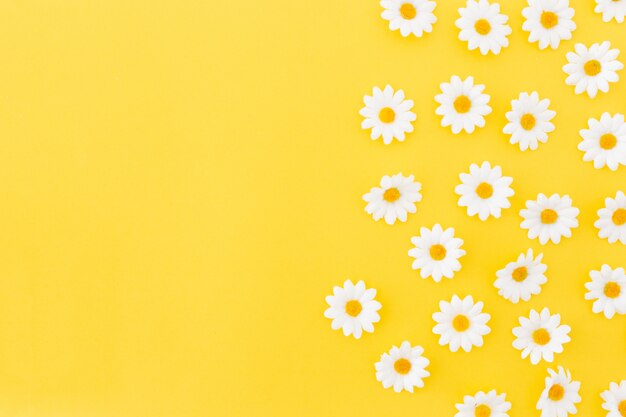 pattern of daysies on yellow background with space to the left