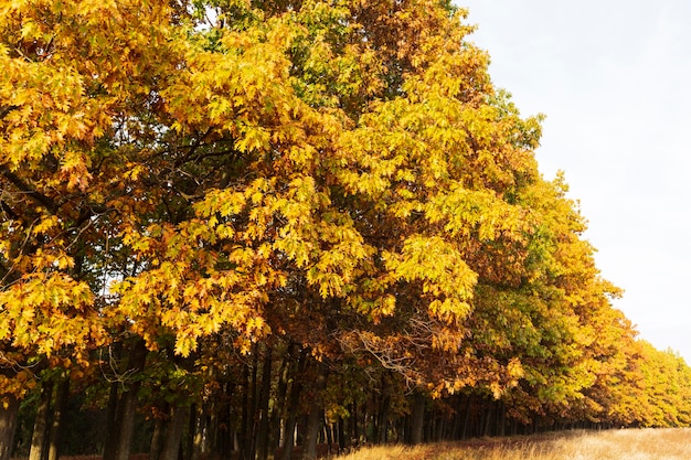 Peaceful and beautiful landscape in daylight