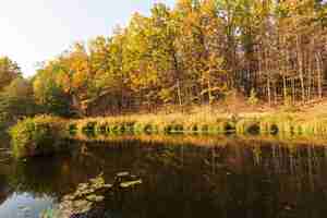 Free photo peaceful and beautiful landscape in daylight