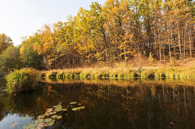 Peaceful and beautiful landscape in daylight