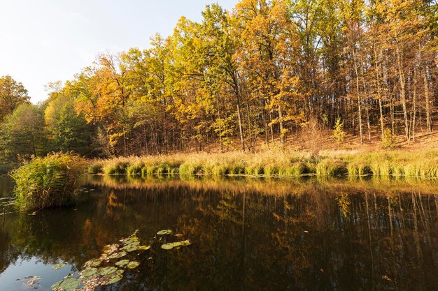 Peaceful and beautiful landscape in daylight