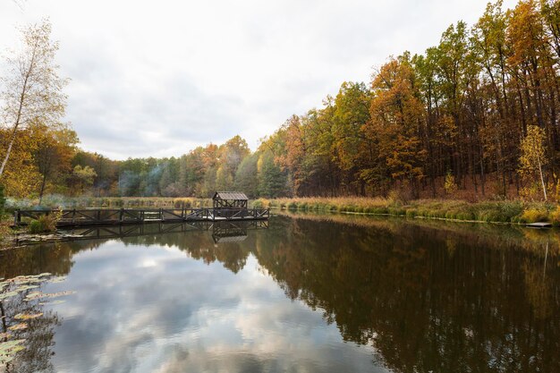 Peaceful and beautiful landscape in daylight