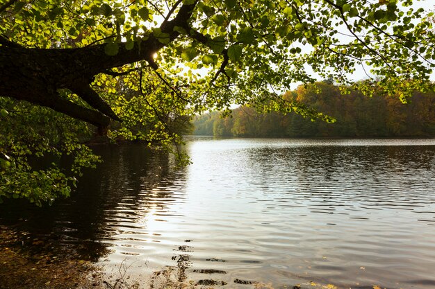 Peaceful mother nature landscape