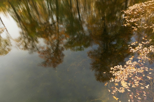 Peaceful mother nature landscape