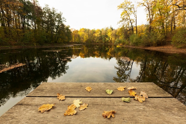 Free photo peaceful mother nature landscape