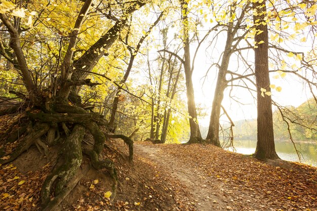 Peaceful mother nature landscape