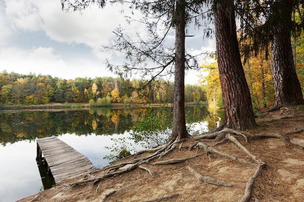 Peaceful mother nature landscape