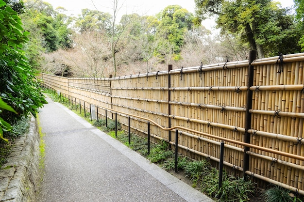 Peaceful path outdoors