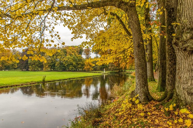 Peaceful view of a park with a lake and trees on a cloudy day