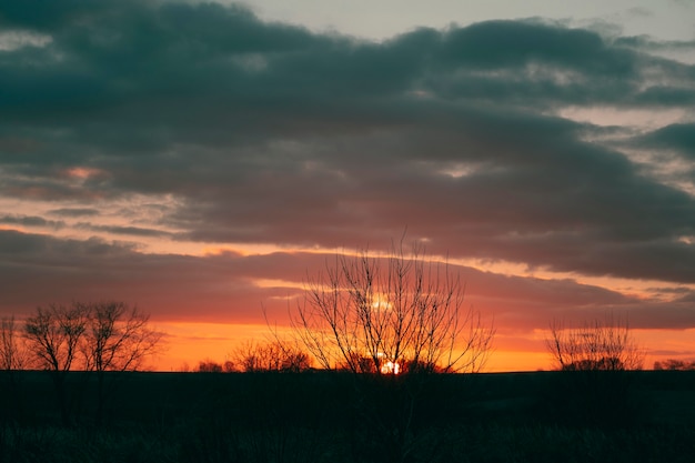 Peaceful view of sunset light