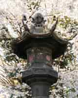 Free photo peach tree blossom in tokyo in daylight