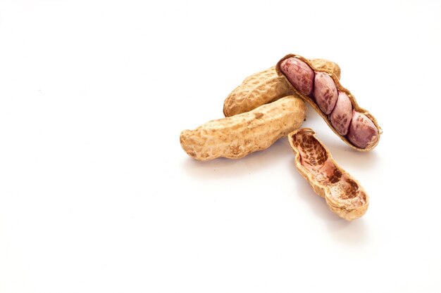 Peanuts isolate on white background