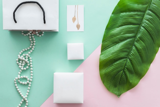 Pearls necklace and golden earrings on pastel backdrop with green leaf