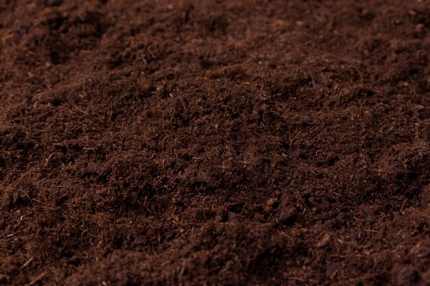 マルチング植物抽象的な概念ベクトルイラスト 土壌被覆 植物保護 雑草防除 水分保持 庭のベッド 木材チップ 景観布 装飾的なマルチの抽象的な比喩 無料のベクター