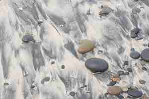 Free photo pebble on sandy beach and stones