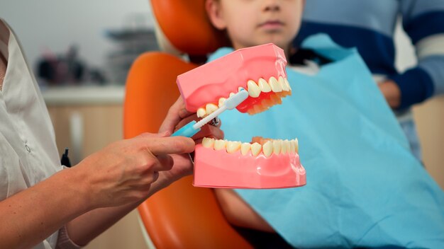 Pediatric dentist showing the correct dental hygiene using mock-up of skeleton of teeth. Stomatologist doctor explaining proper dental hygiene to patient holding sample of human jaw with toothbrush.