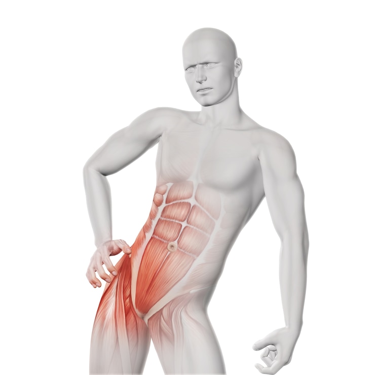 Free Photo pelvic muscle stetch
