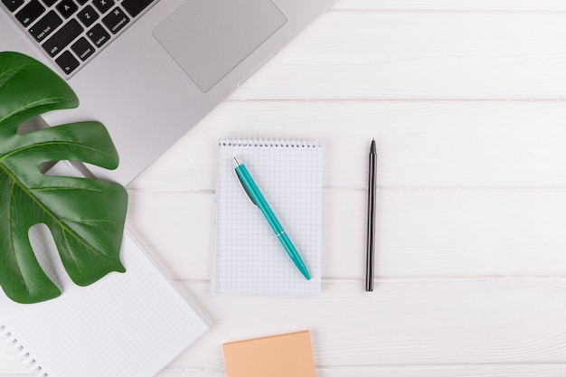 Pens near notepads, plant and laptop