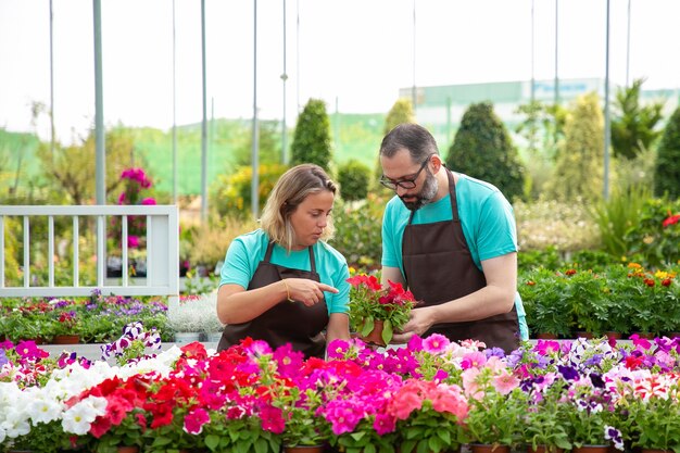 Pensive professional gardeners discussing blooming plants and standing