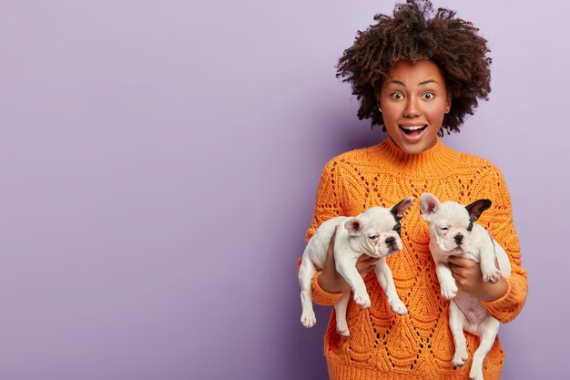 People and animal connection. Positive curly haired woman holds two white french bulldog puppies looking alike, plays with domestic pets, being forever together. Small dogs sleep in womans hands