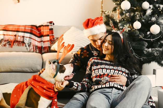 크리스마스 장식에 있는 사람들. 새 해 스웨터에 남자와 여자입니다. 큰 개를 가진 가족입니다.
