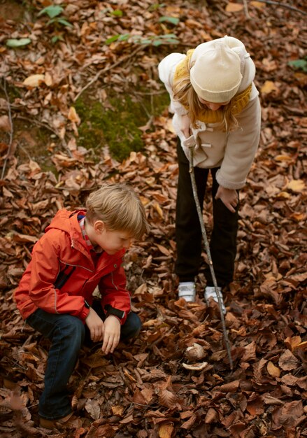 People collecting food from the forest