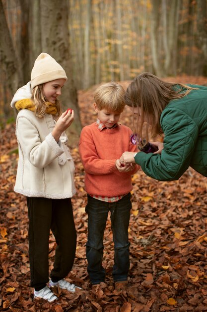 people collecting food from the forest