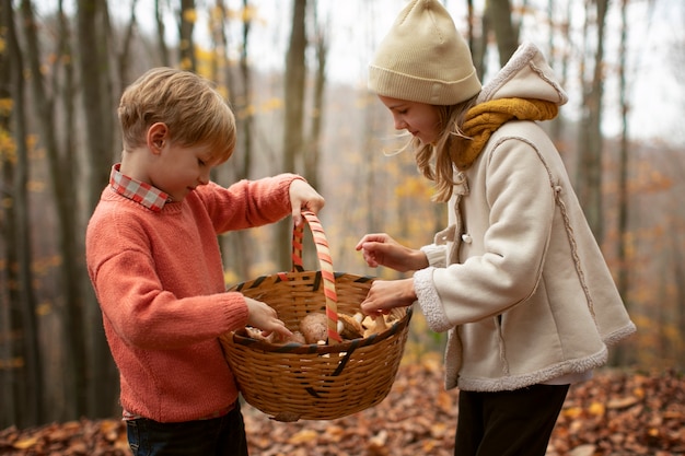 Foto gratuita gente che raccoglie cibo dalla foresta