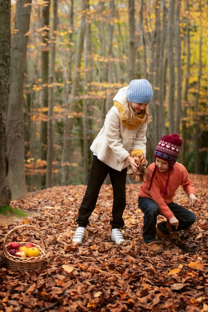 Free photo people collecting food from the forest