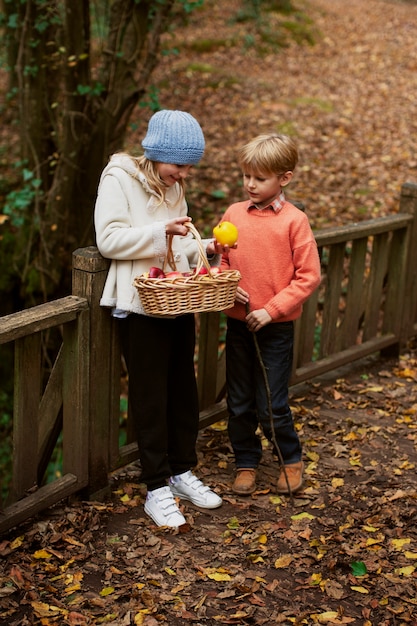 Foto gratuita gente che raccoglie cibo dalla foresta