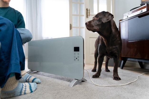 The Ultimate Guide to Steam Washers and Their Benefits for Pet Owners