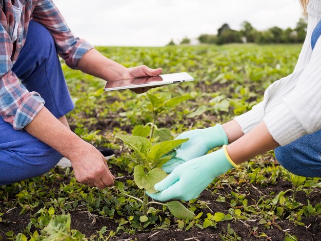 People farming together close-up