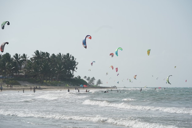 People kiteboarding on a beach near the trees in the Dominican Republic