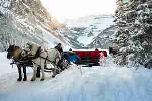 Foto gratuita persone vicino al carro con la foresta nella foresta innevata vicino al lago louise in canada