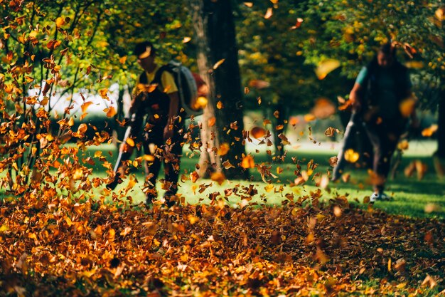 People operating a heavy duty leaf blower