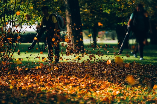 Free photo people operating a heavy duty leaf blower