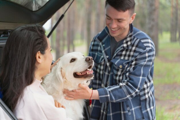 People petting dog close up