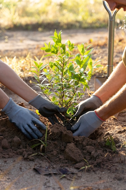 People planting tree on the countryside