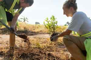 Free photo people planting tree on the countryside