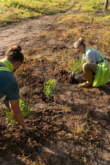 People planting tree on the countryside